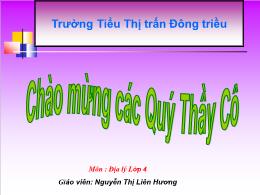 Giáo án Môn: Địa lý - Bài 21: Thành phố Hồ Chí Minh