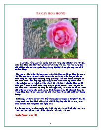 Tổng hợp bài văn tả cây hoa hồng