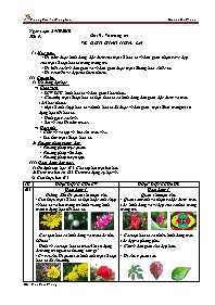 Giáo án Mĩ thuật 4 - Bài 9: Vẽ trang trí: vẽ đơn giản hoa, lá (
