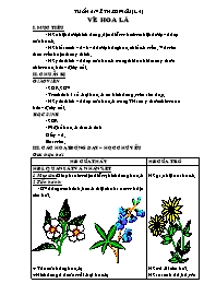 Giáo án Mĩ thuật 4 - Tuần 2: Vẽ theo mẫu Vẽ hoa lá